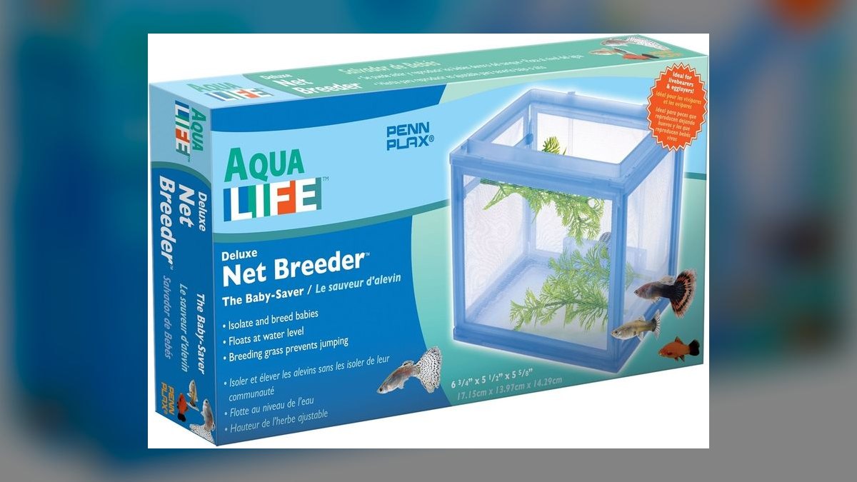 Top 10 Breeder Box Options 2027 — figure 9