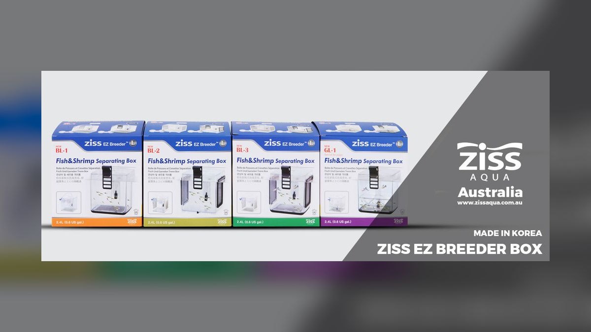 Top 10 Breeder Box Options 2027