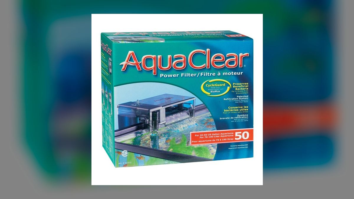 Top 10 Cichlid Breeding Setup Ideas 2027 — figure 4