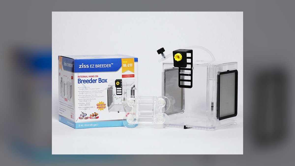 Top 10 Cichlid Breeding Setup Ideas 2027 — figure 7