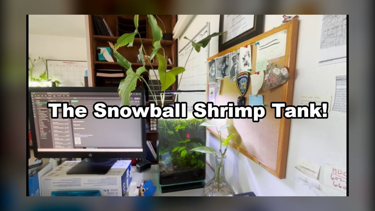 Top 10 Shrimp Breeding Tanks 2027 — figure 9