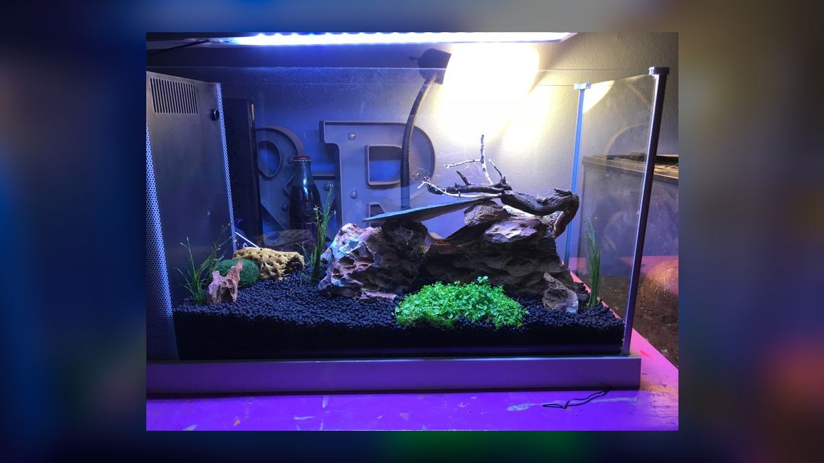 Top 10 Shrimp Breeding Tanks 2027
