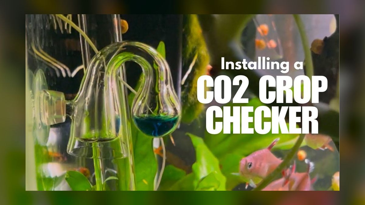 Top 10 CO2 Drop Checkers 2027 — figure 5