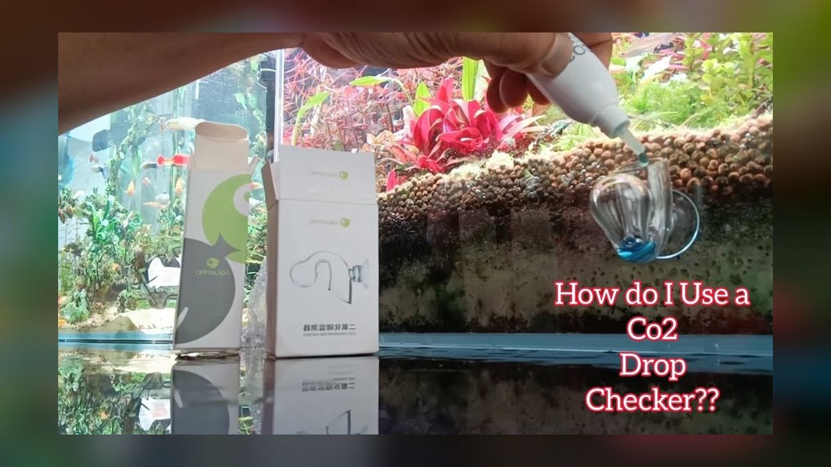 Top 10 CO2 Drop Checkers 2027 — figure 9