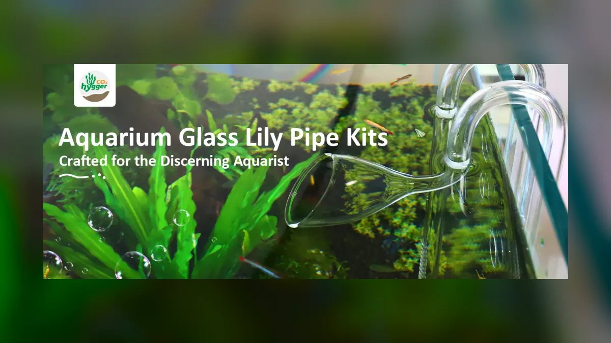 Top 10 Aquarium Lily Pipes 2027 — figure 6