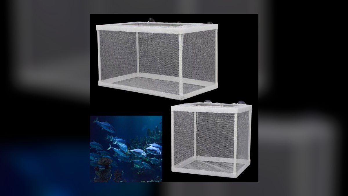 Top 10 Aquarium Insulation Methods 2027