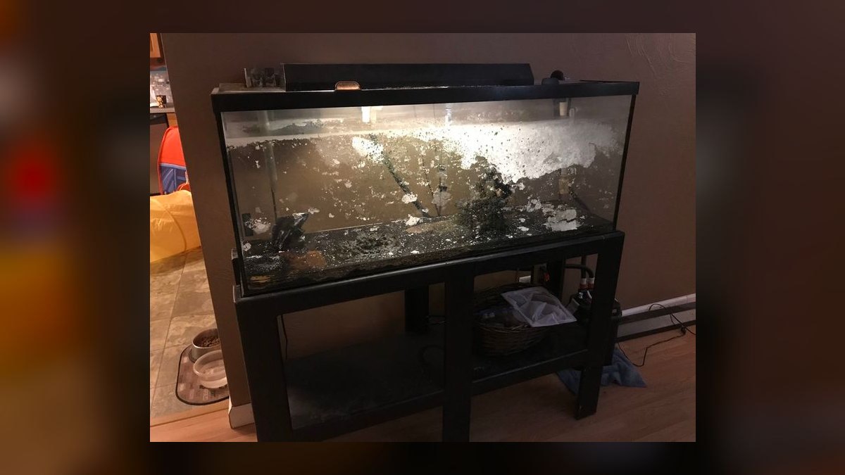 Top 10 Aquarium Cabinet Stands 2027 — figure 2