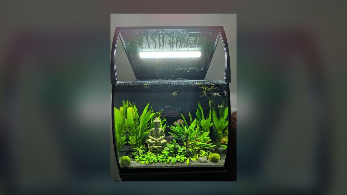 Top 10 Aquarium Cabinet Stands 2027 — figure 9