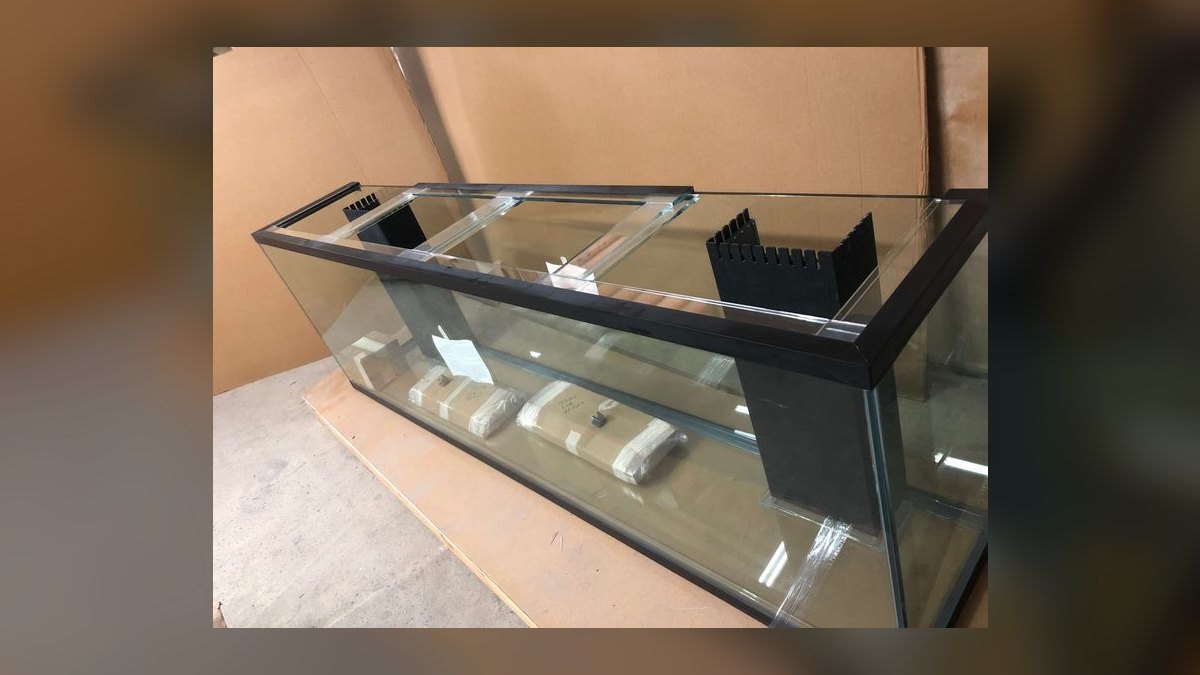 Top 10 Custom Aquarium Builders 2027 — figure 7