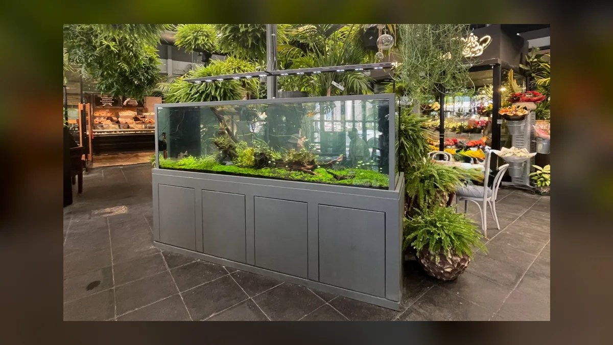 Top 10 Custom Aquarium Builders 2027 — figure 8