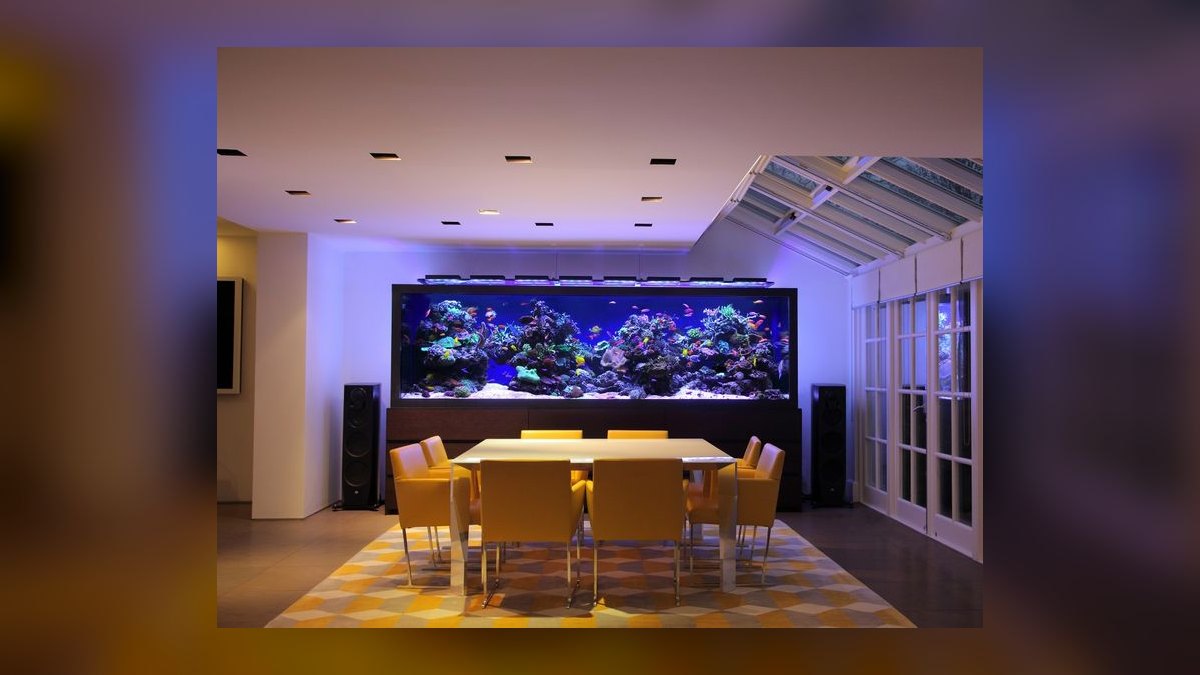 Top 10 Custom Aquarium Builders 2027