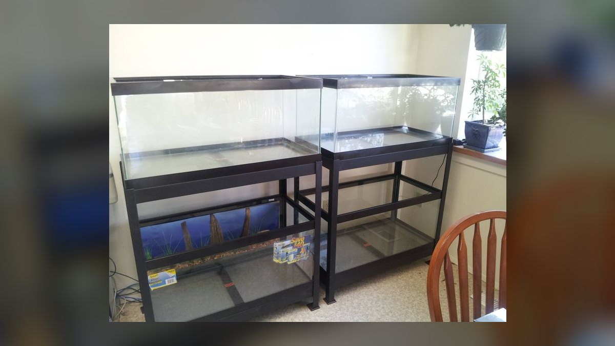 Top 10 Red Sea Reefer Alternatives 2027 — figure 5
