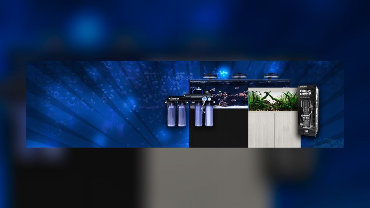 Top 10 Waterbox Aquarium Systems 2027 — figure 8