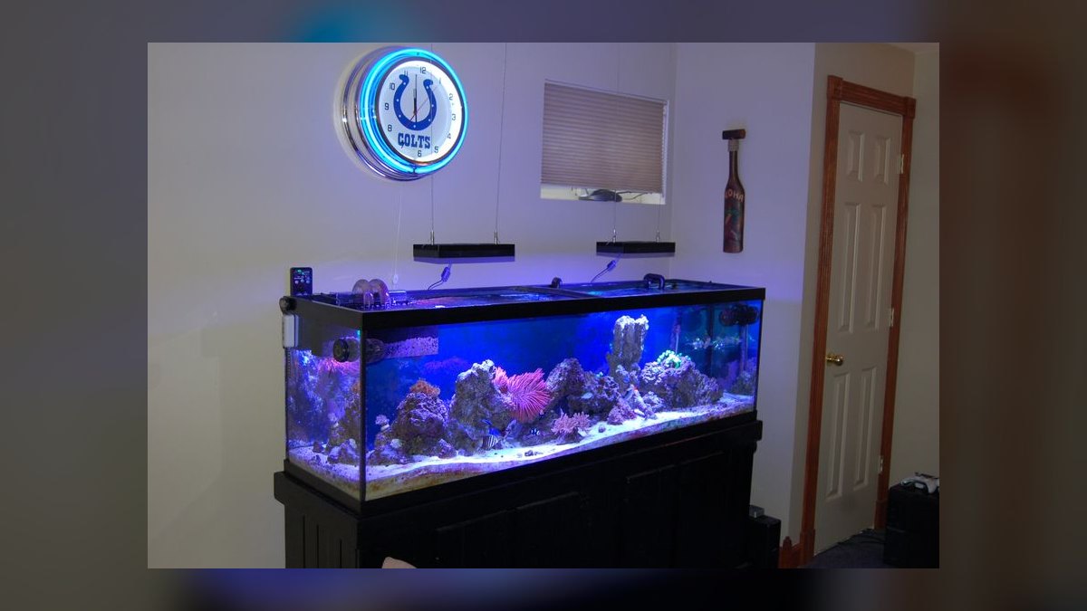 Top 10 AI Hydra Reef Lights 2027 — figure 7