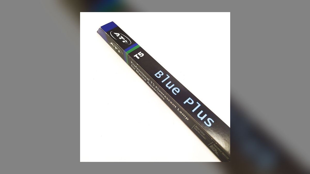 Top 10 T5 HO Reef Lighting 2027 — figure 2