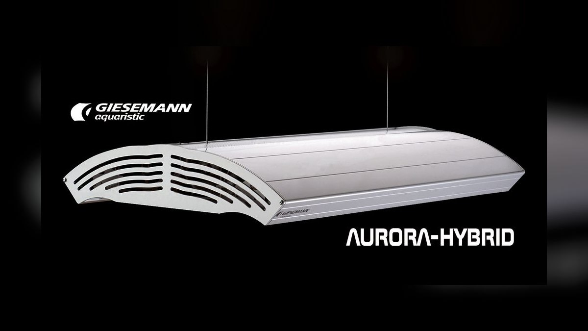 Top 10 T5 HO Reef Lighting 2027 — figure 5