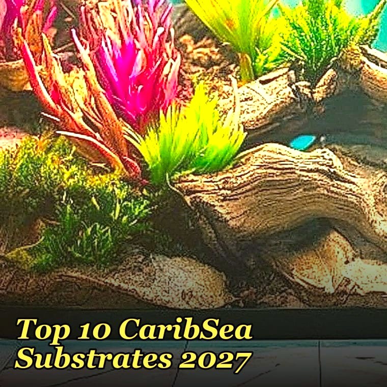 Top 10 CaribSea Substrates 2027