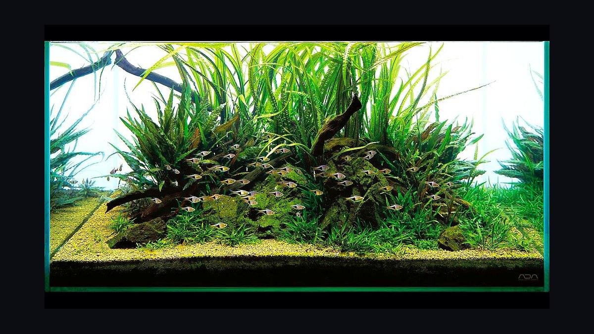 Top 10 ADA Aqua Soil Products 2027 — figure 2