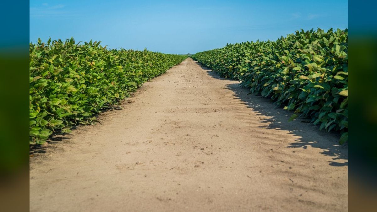 Top 10 UNS Controsoil Options 2027