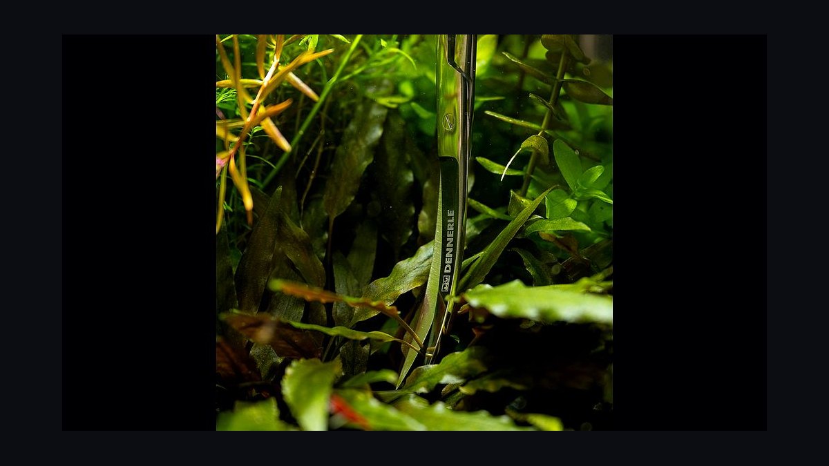 Top 10 Aquascaping Tool Kits 2027 — figure 2