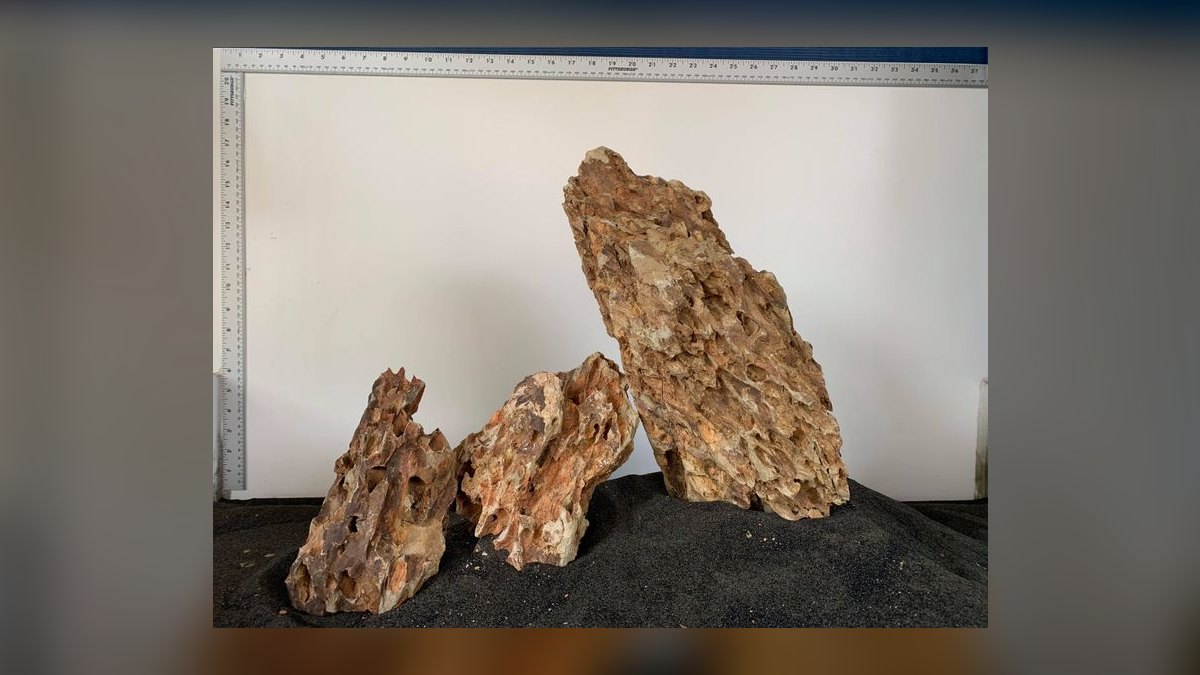 Top 10 Aquascaping Rocks for Iwagumi 2027 — figure 3