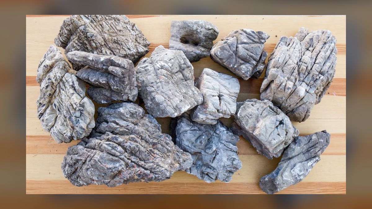 Top 10 Aquascaping Rocks for Iwagumi 2027 — figure 6