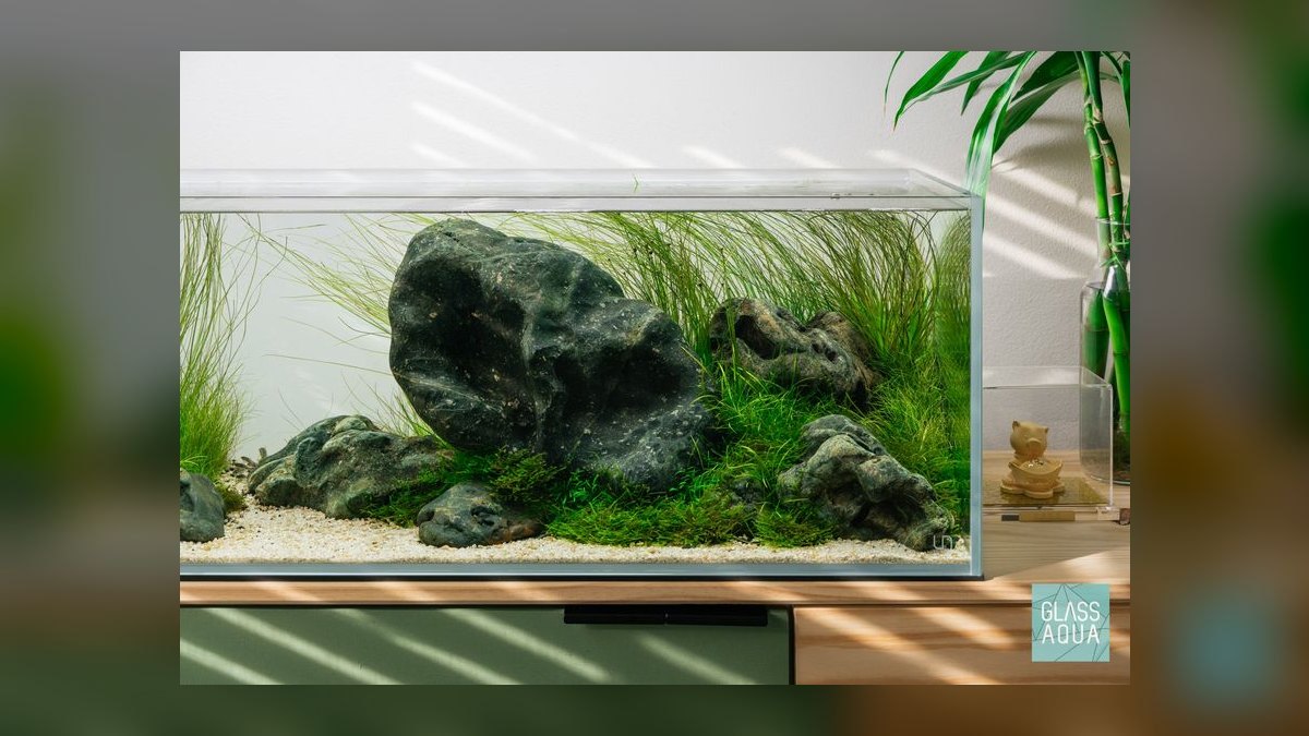 Top 10 Aquascaping Rocks for Iwagumi 2027 — figure 8