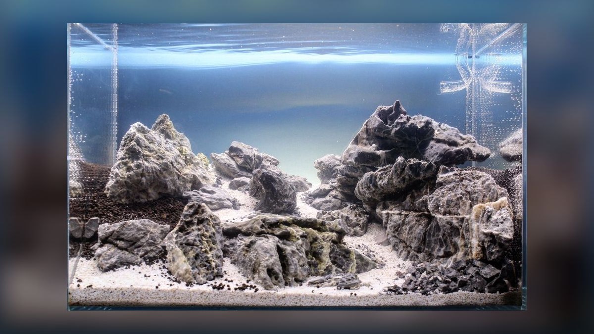 Top 10 Dragon Stone Aquascaping 2027 — figure 3