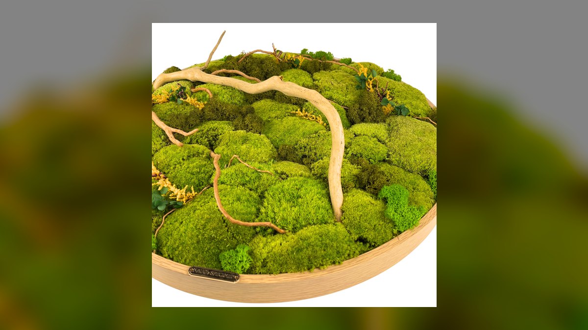 Top 10 Spider Wood for Aquascapes 2027 — figure 10