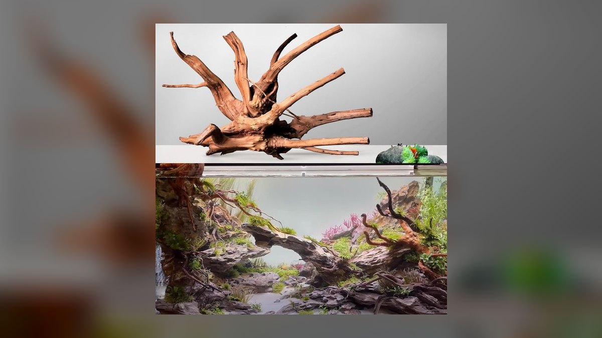Top 10 Spider Wood for Aquascapes 2027 — figure 9