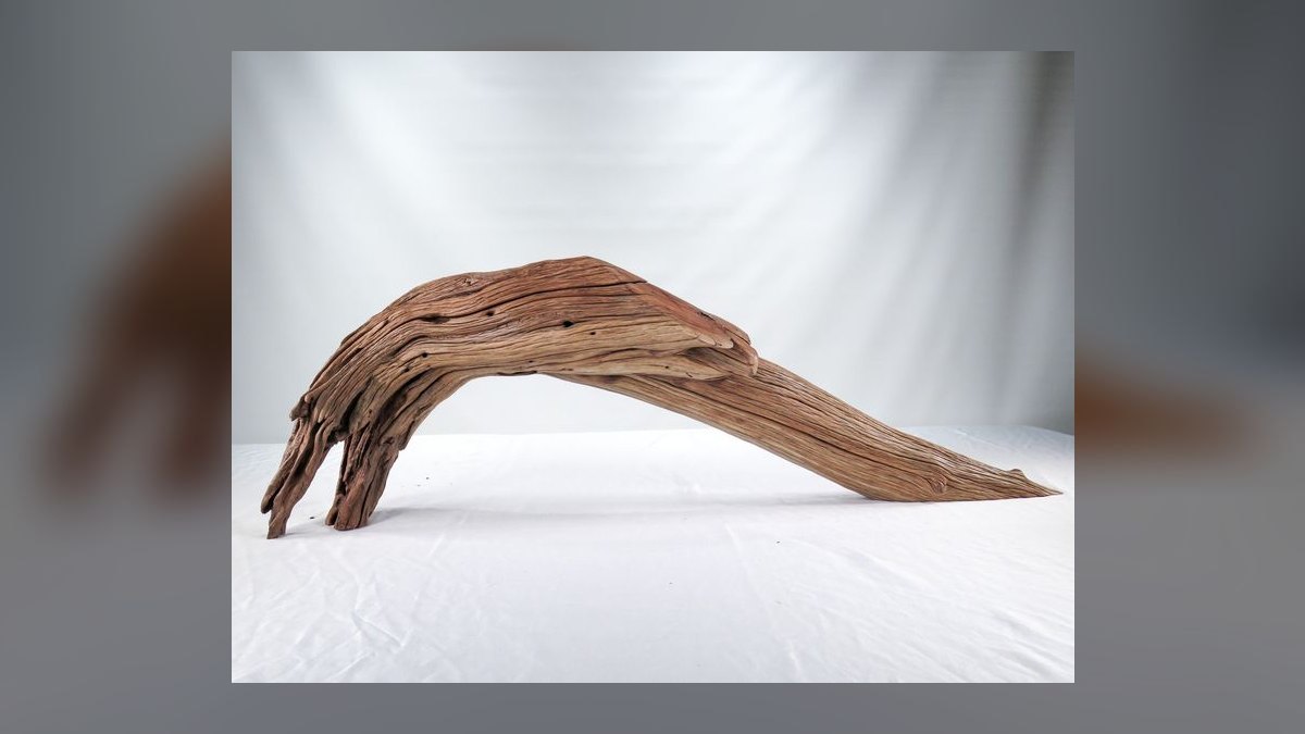 Top 10 Manzanita Driftwood Branches 2027 — figure 1