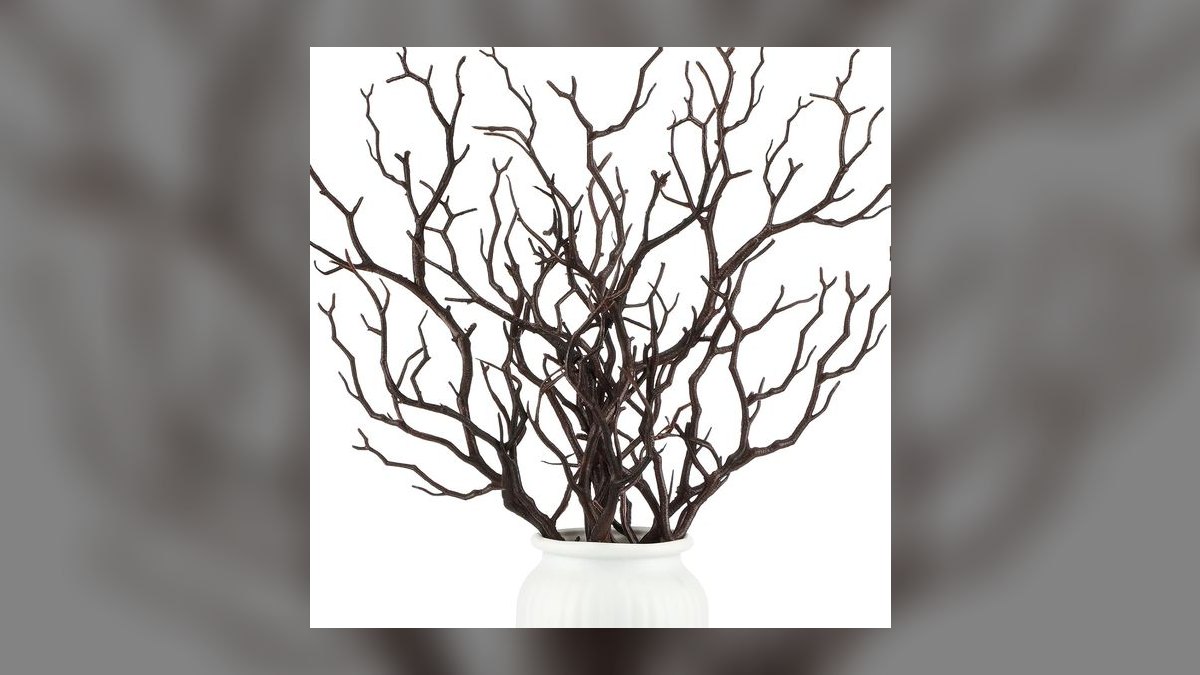 Top 10 Manzanita Driftwood Branches 2027 — figure 2