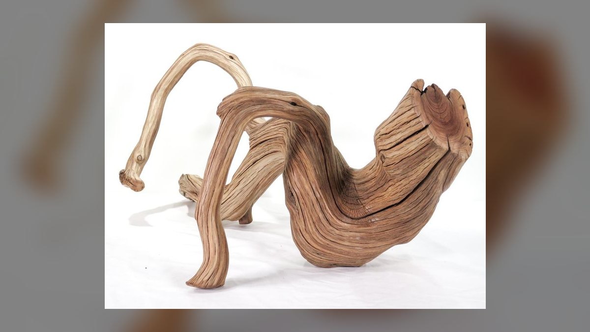 Top 10 Manzanita Driftwood Branches 2027 — figure 5