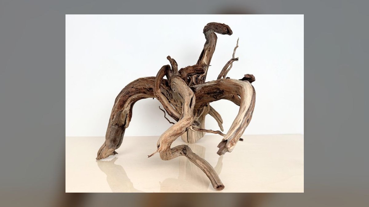 Top 10 Manzanita Driftwood Branches 2027 — figure 6