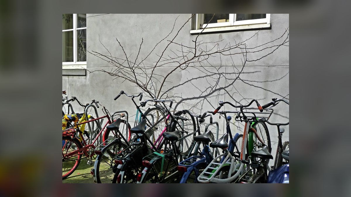 Top 10 Manzanita Driftwood Branches 2027 — figure 7