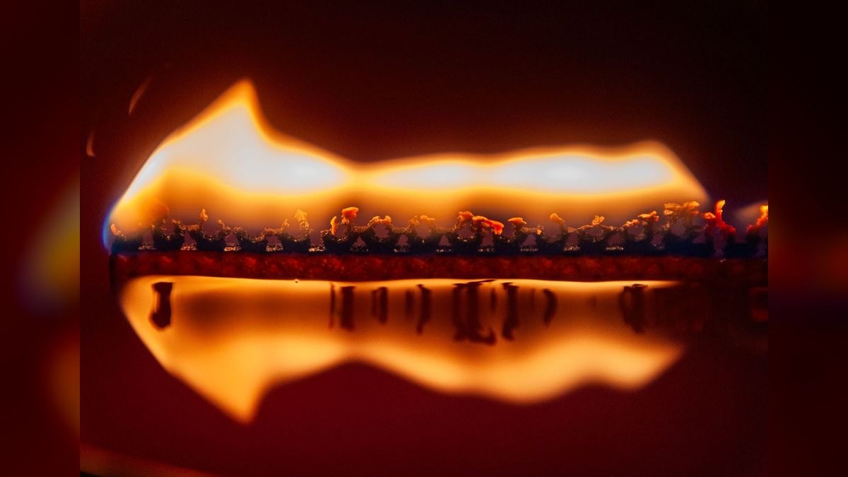 Top 10 Flame Tetra South American Picks 2027 — figure 3