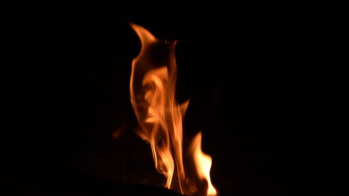 Top 10 Flame Tetra South American Picks 2027 — figure 6