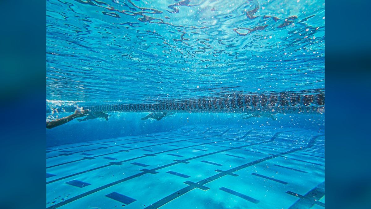 Top 10 Hatchetfish Surface Swimmers 2027 — figure 2