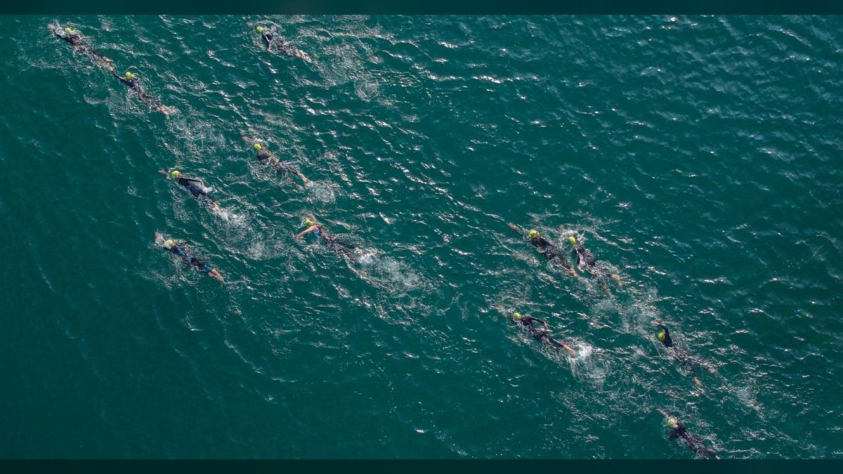 Top 10 Hatchetfish Surface Swimmers 2027 — figure 3
