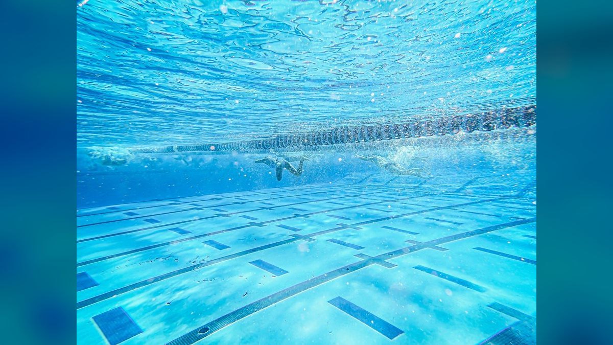 Top 10 Hatchetfish Surface Swimmers 2027 — figure 4