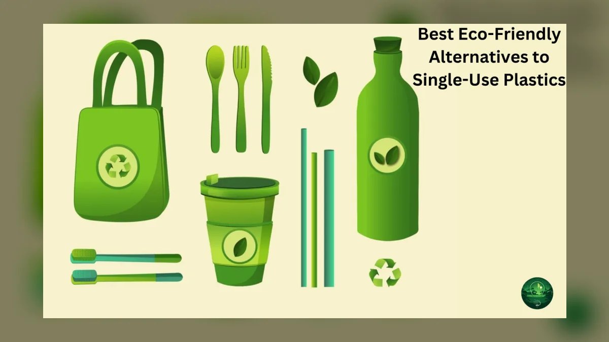 Top 10 Common Pleco Alternatives 2027 — figure 9