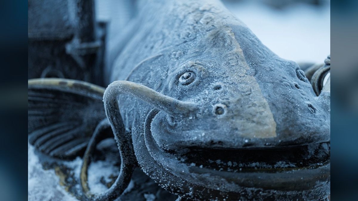 Top 10 Farlowella Twig Catfish 2027 — figure 5