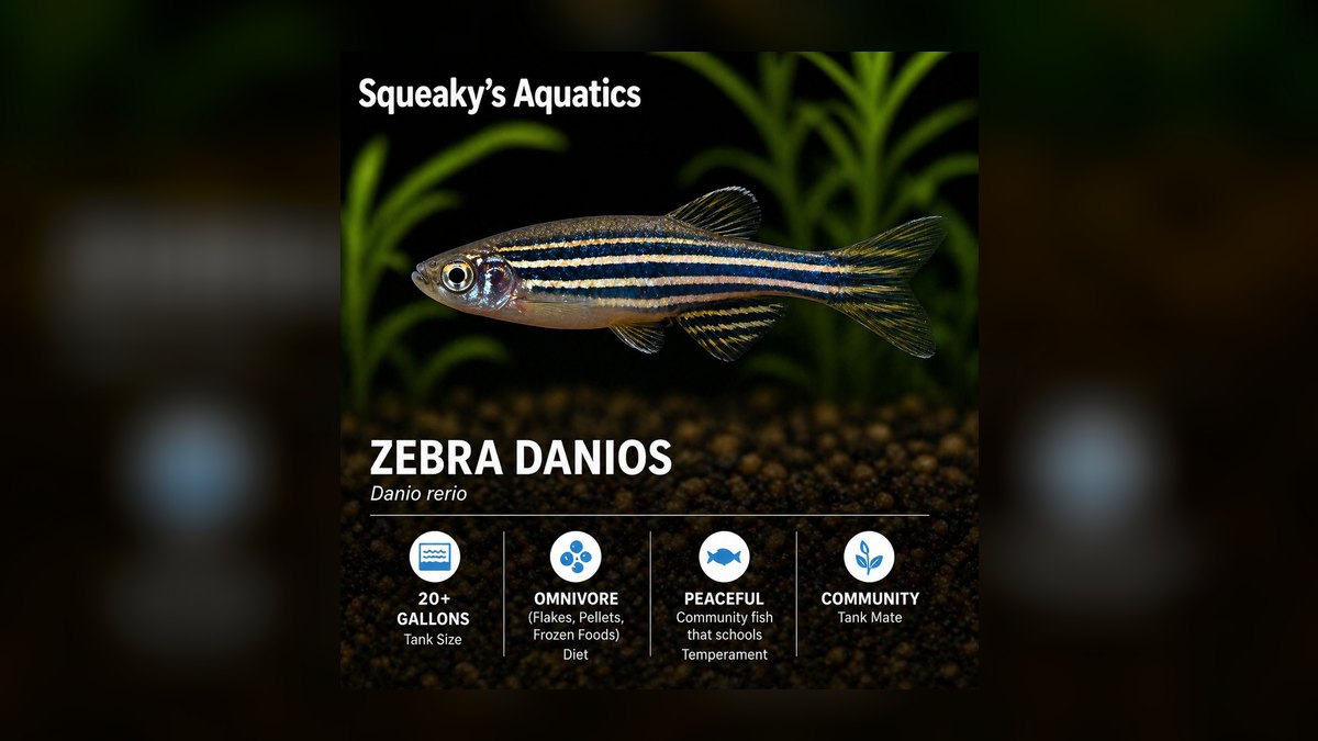 Top 10 Glass Catfish Transparent Shoalers 2027 — figure 6