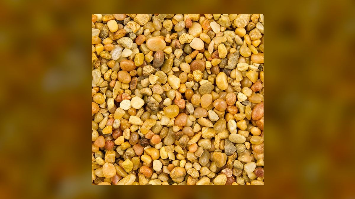 Top 10 Kuhli Loach Sand Dwellers 2027 — figure 8