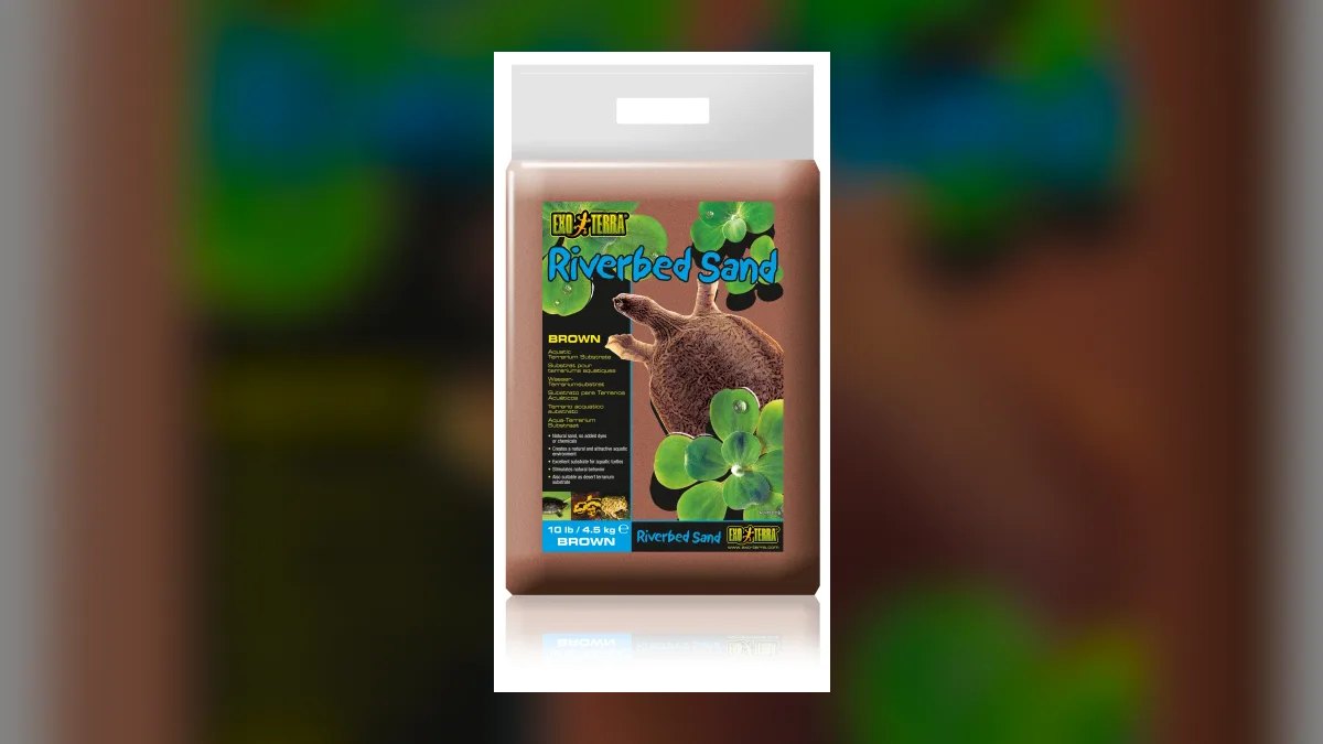 Top 10 Kuhli Loach Sand Dwellers 2027 — figure 9
