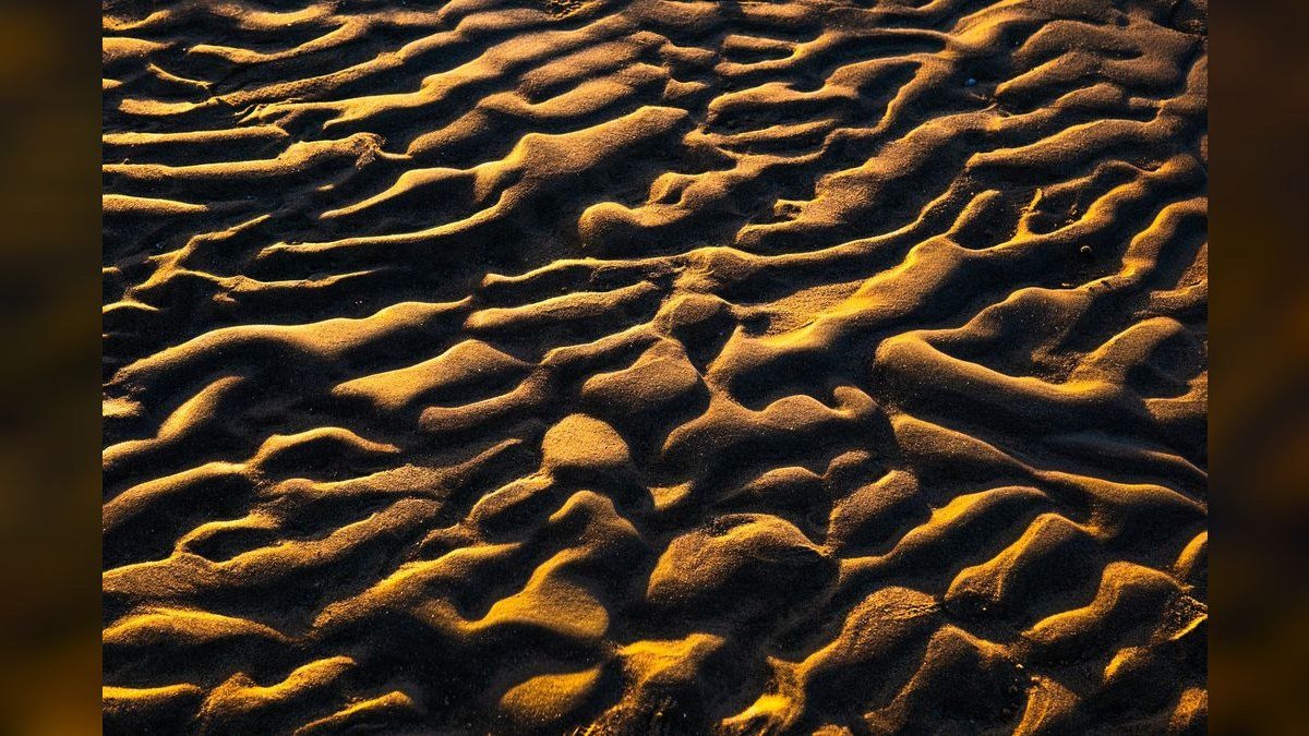 Top 10 Kuhli Loach Sand Dwellers 2027