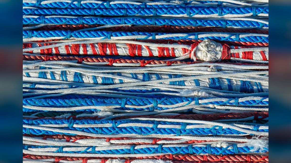 Top 10 Rope Fish Eel-Like Oddballs 2027 — figure 4