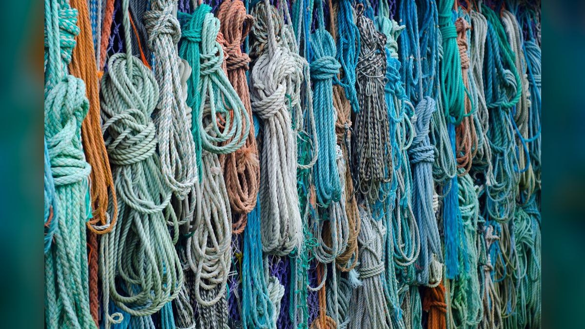 Top 10 Rope Fish Eel-Like Oddballs 2027 — figure 5