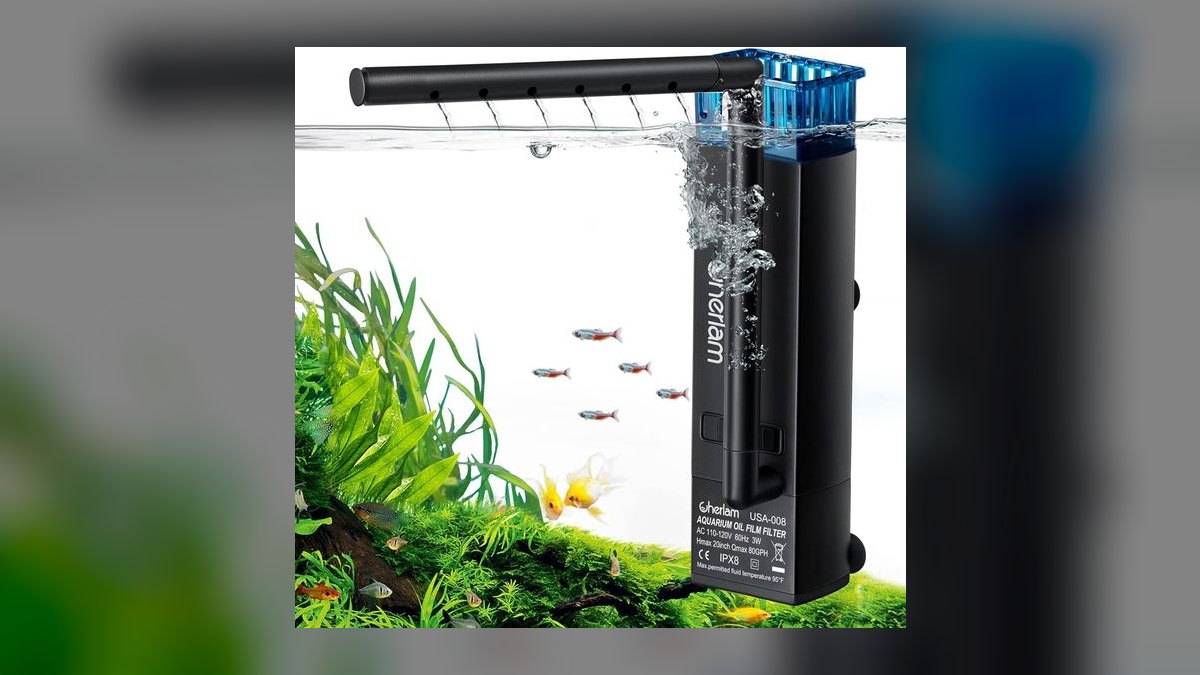 Top 10 African Butterfly Fish Surface Hunters 2027 — figure 8