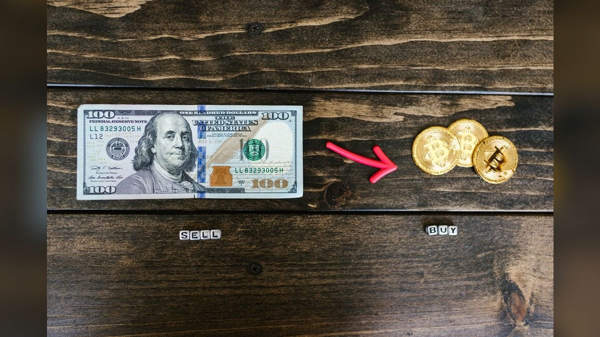 Top 10 Red Hook Silver Dollar Varieties 2027 — figure 3